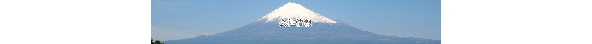 sp_mainimg